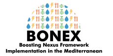 BONEX_logo